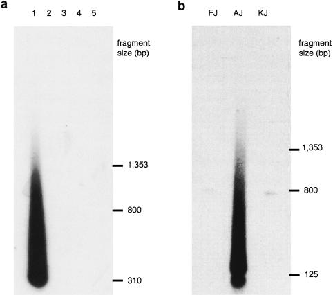 Figure  3