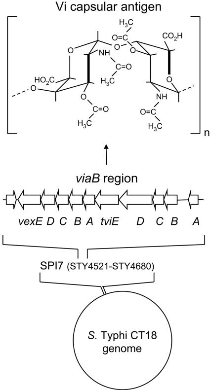 FIG. 2.