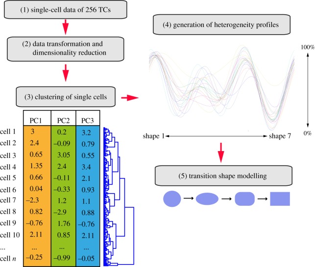 Figure 1.