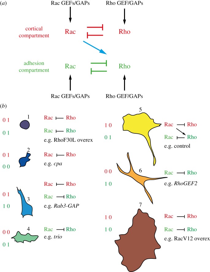 Figure 4.