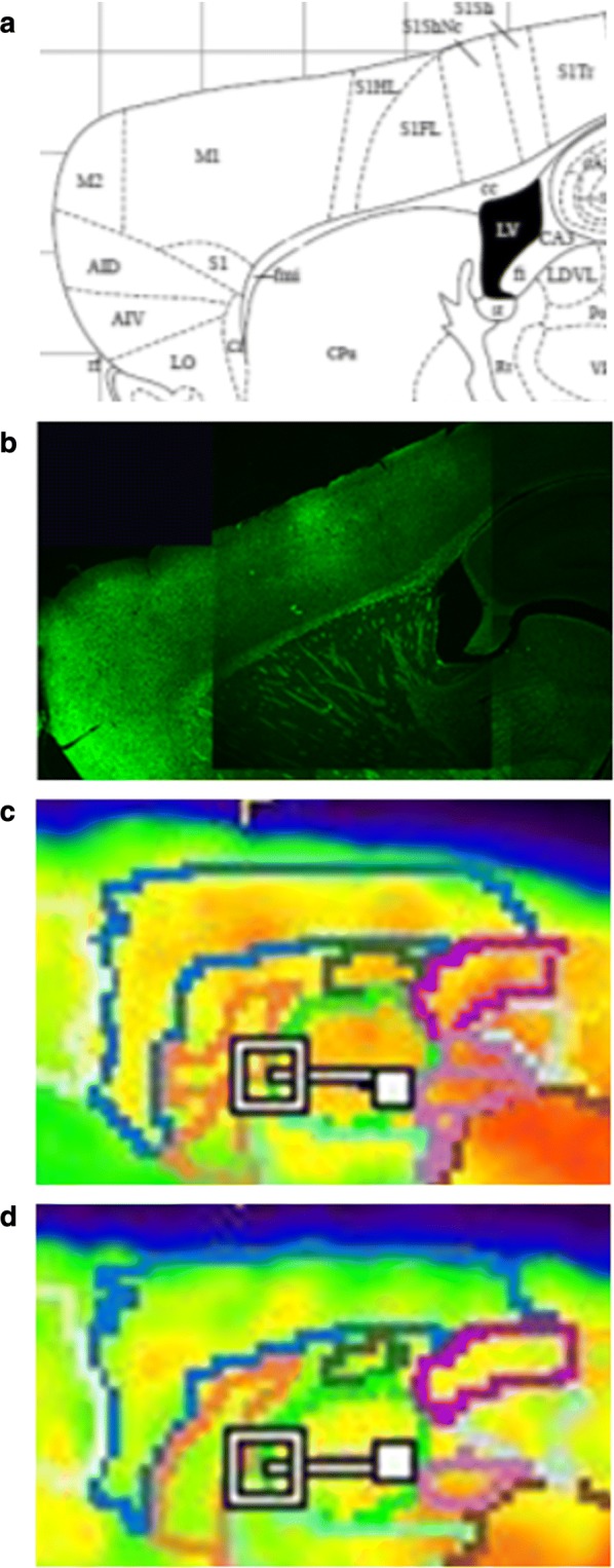 Fig. 11