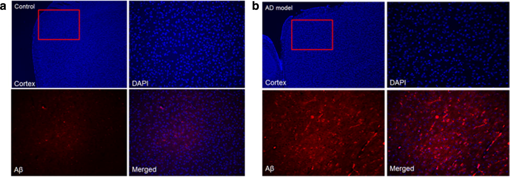 Fig. 10