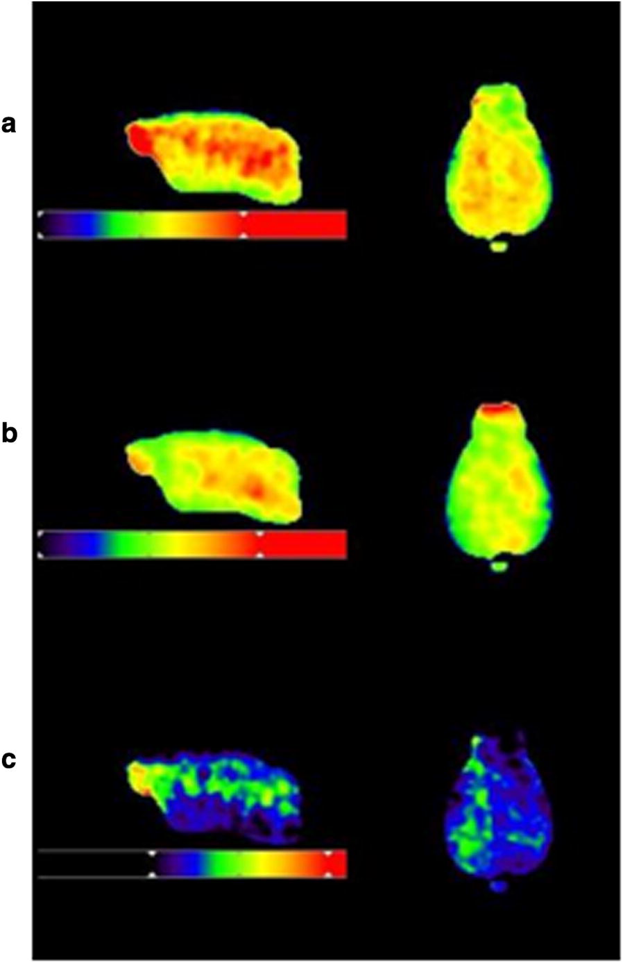 Fig. 3