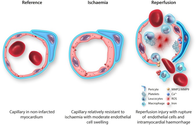 Graphical Abstract