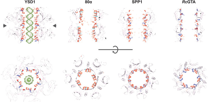 Figure 4.