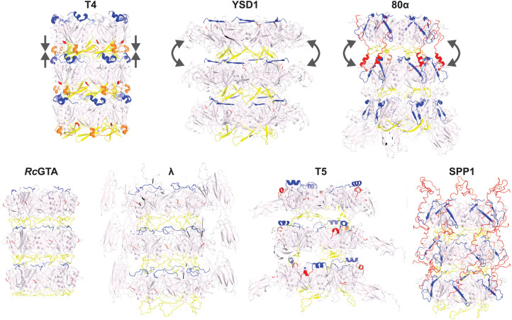 Figure 3.