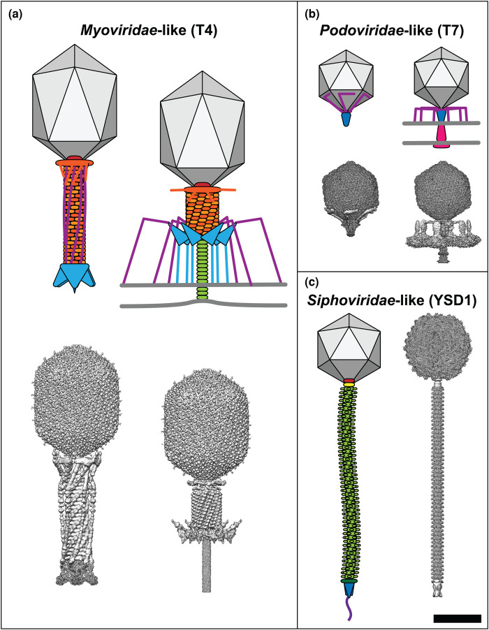 Figure 1.