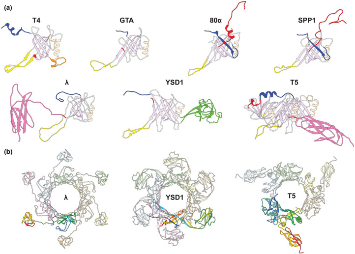 Figure 2.