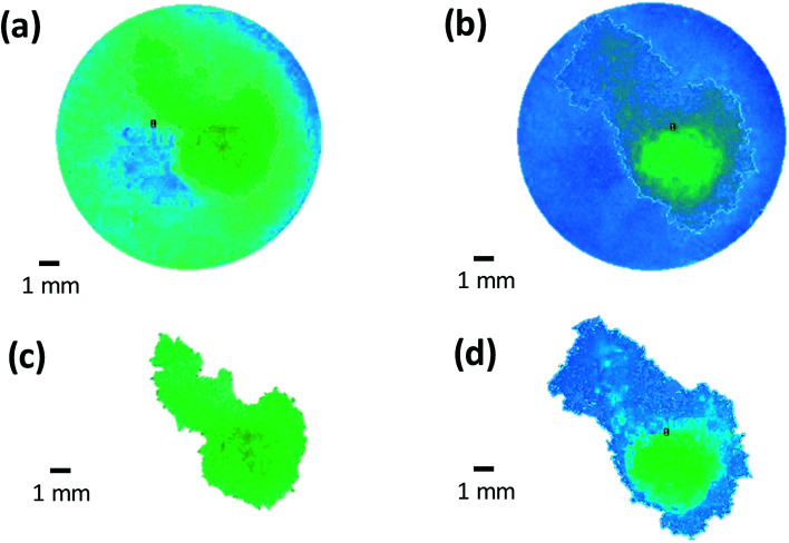 Fig. 12