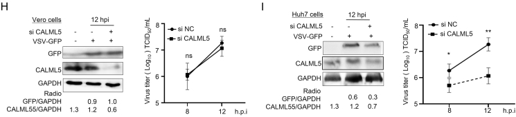 Fig. 7