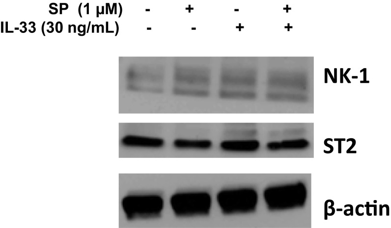 Fig. S4.