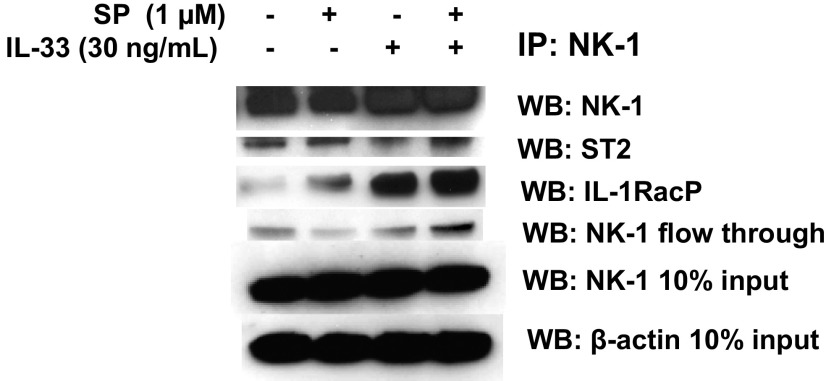 Fig. S3.