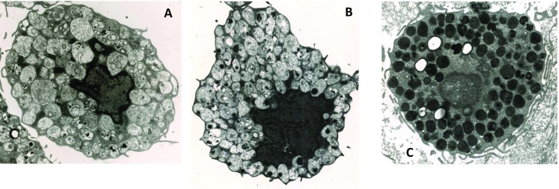 Fig. S8.