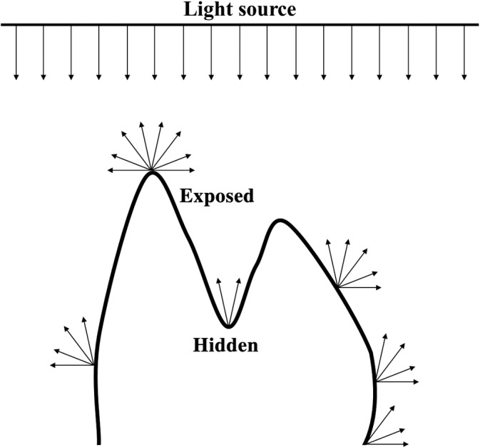 FIGURE 6