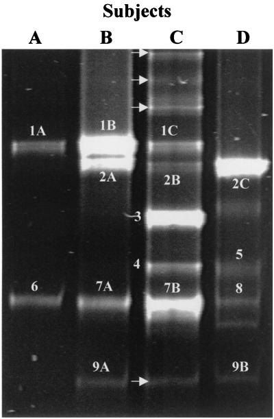 FIG. 3