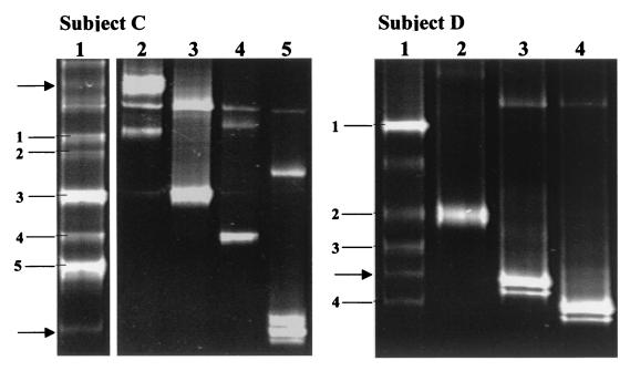 FIG. 5