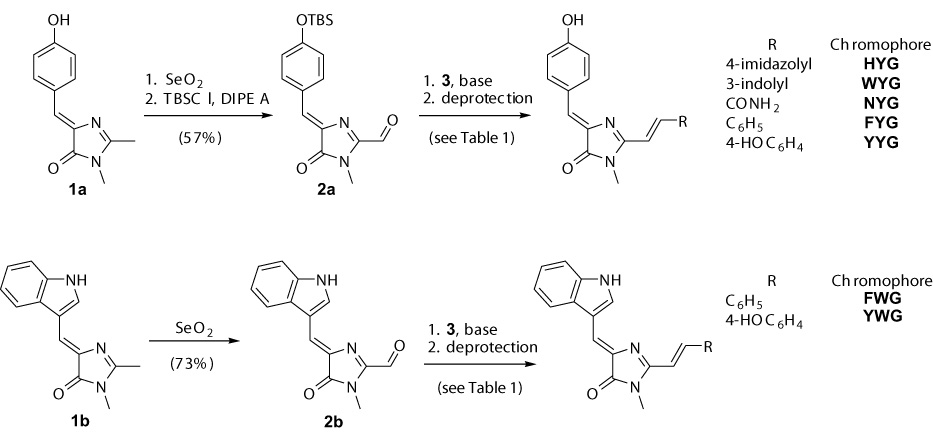 Scheme 2