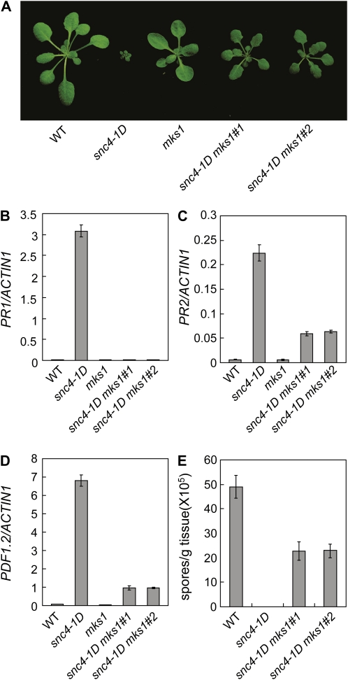 Figure 6.