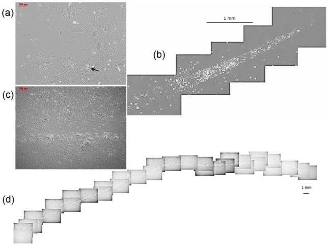 Figure 3.