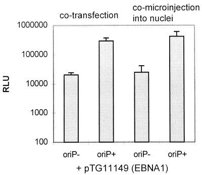 FIG. 3