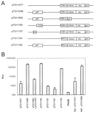 FIG. 1