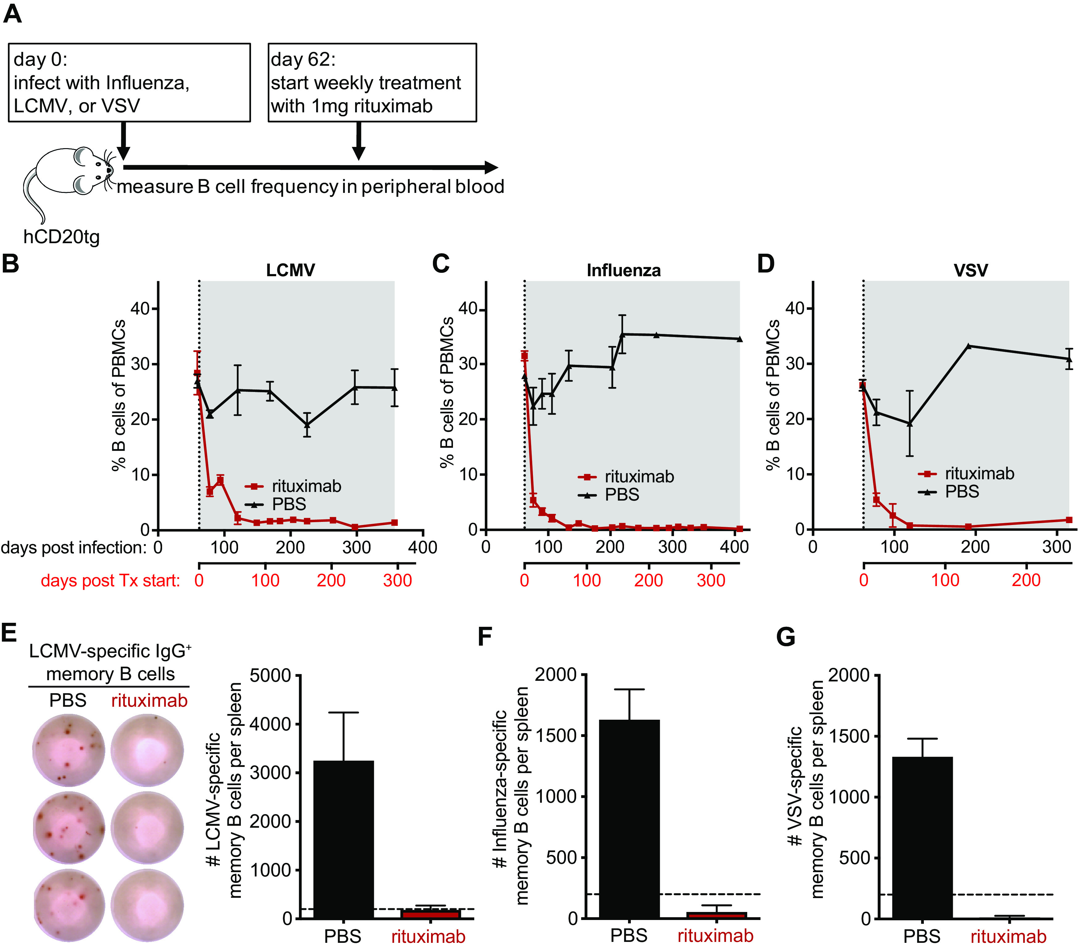 FIG 2