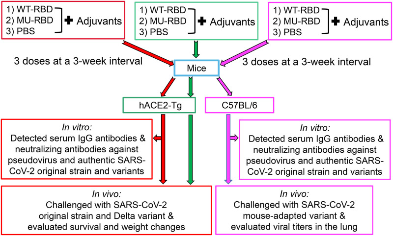 FIG 2