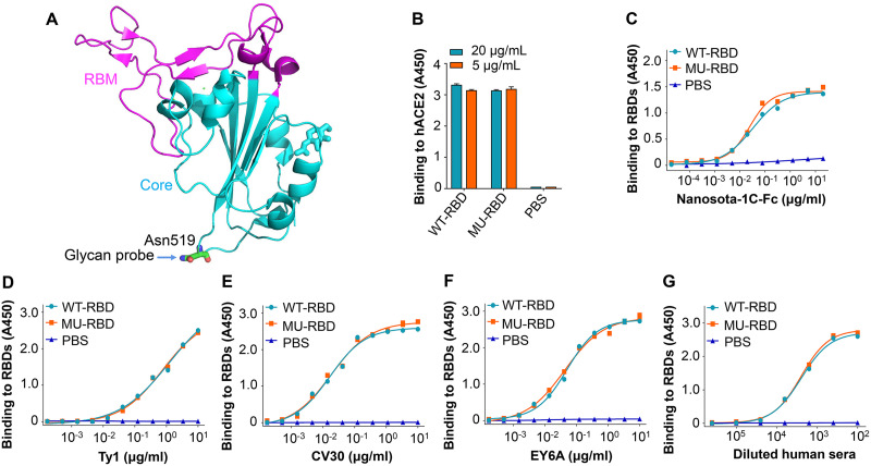 FIG 1