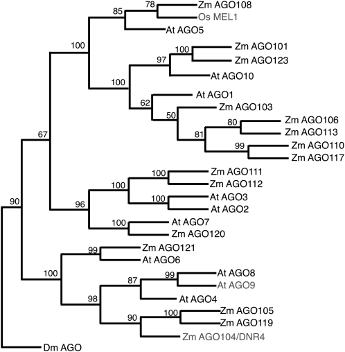 Figure 6.