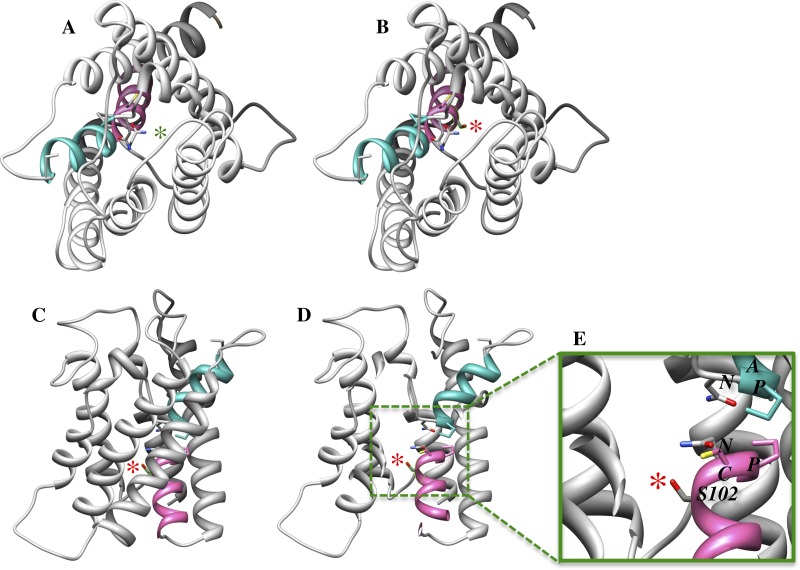 Fig. 3.