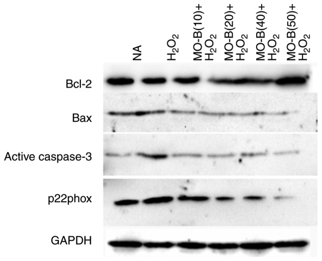 Figure 6.