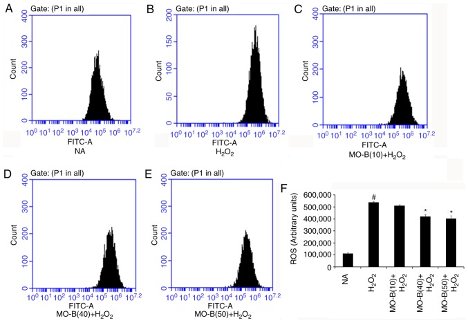 Figure 2.