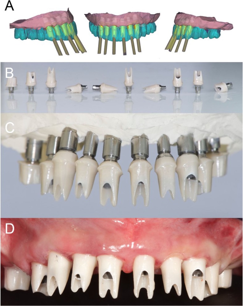 Fig. 10