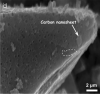 graphic file with name 12649_2021_1577_Figf_HTML.gif