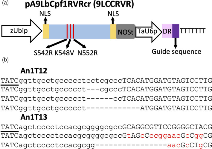 Figure 5