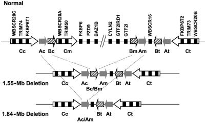 Figure  3. 