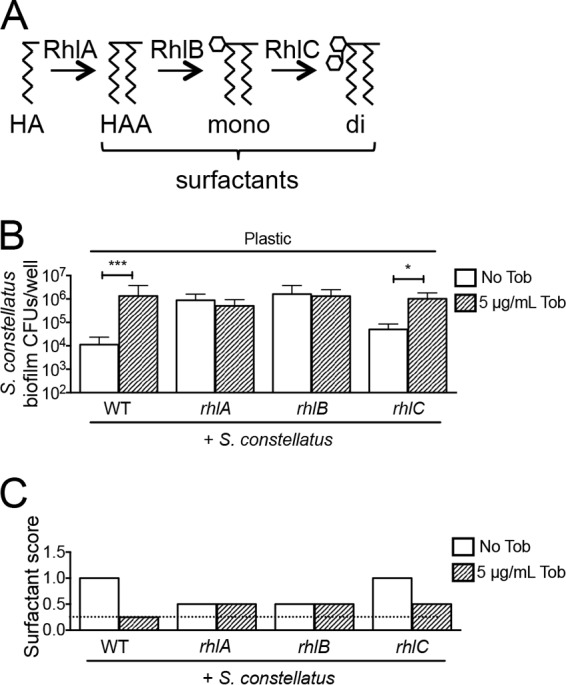 FIG 4