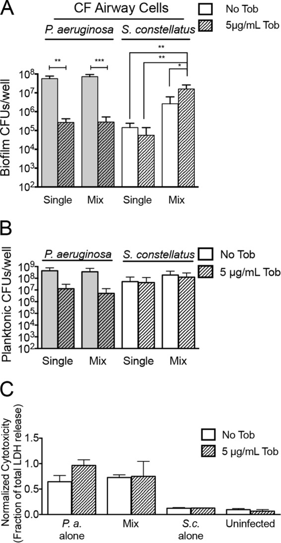 FIG 2