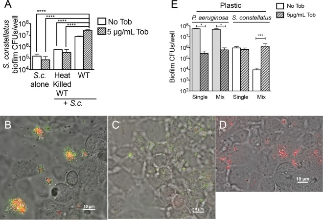 FIG 3