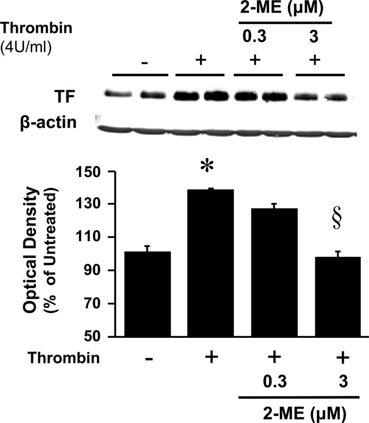 Fig. 8.