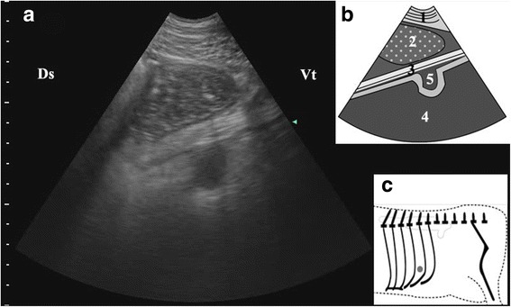 Fig. 5