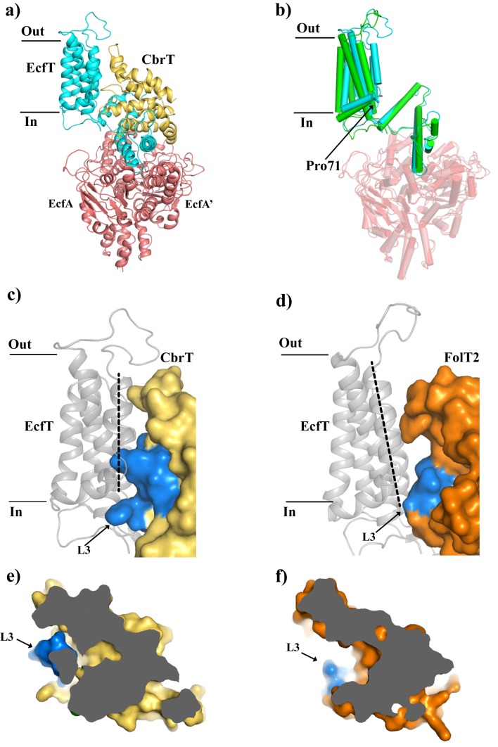 Figure 5.