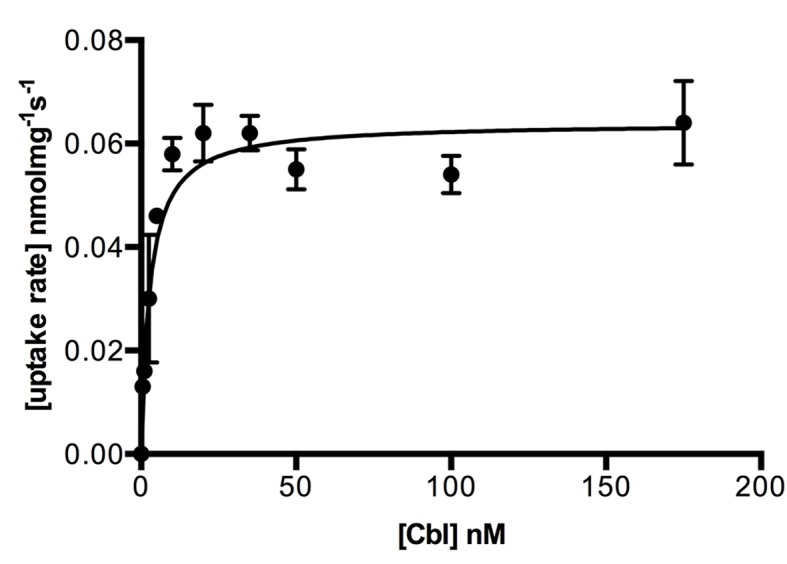 Figure 3—figure supplement 1.