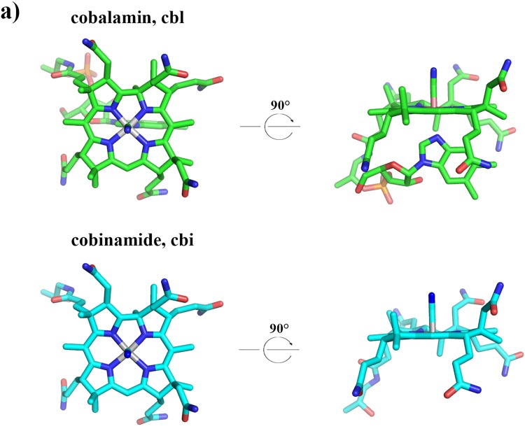 Figure 1—figure supplement 1.