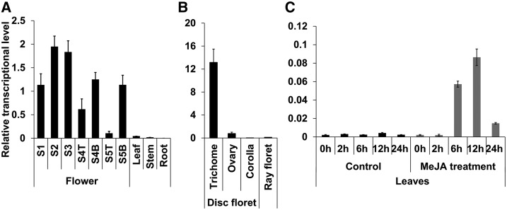 Figure 7.