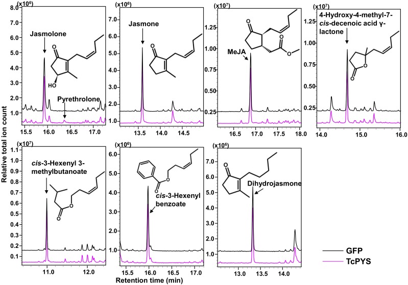 Figure 5.