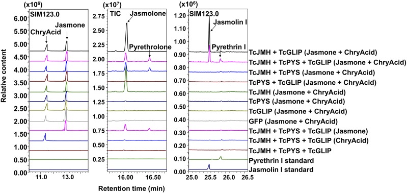 Figure 3.