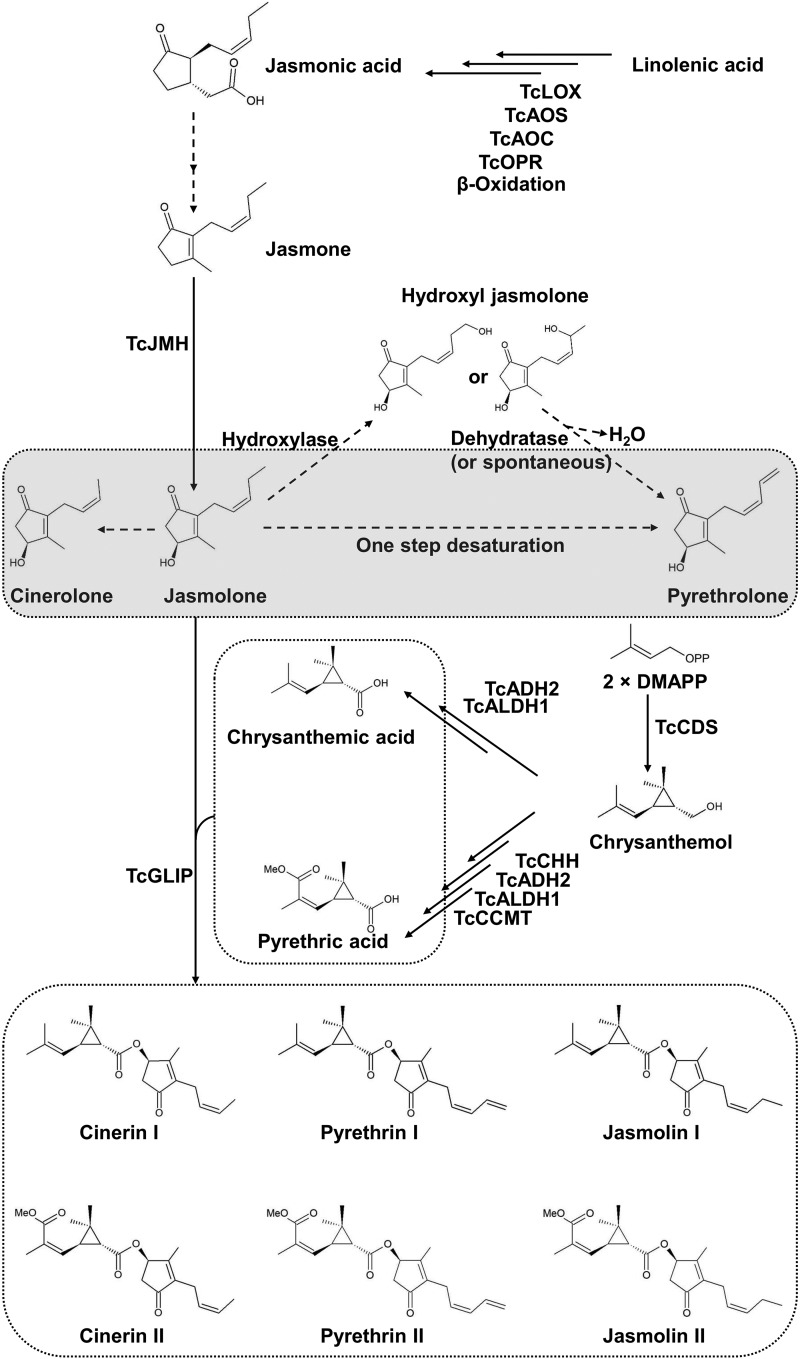 Figure 1.