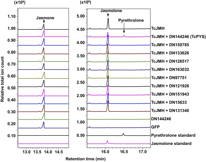 Figure 2.