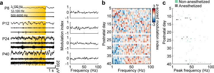 Figure 3—figure supplement 1.